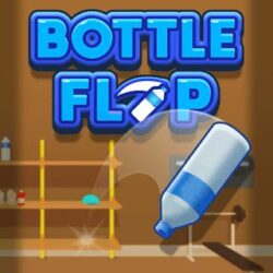 Bottle Flip Flip, soar, and conquer in Bottle Flip – the ultimate test of timing and precision!